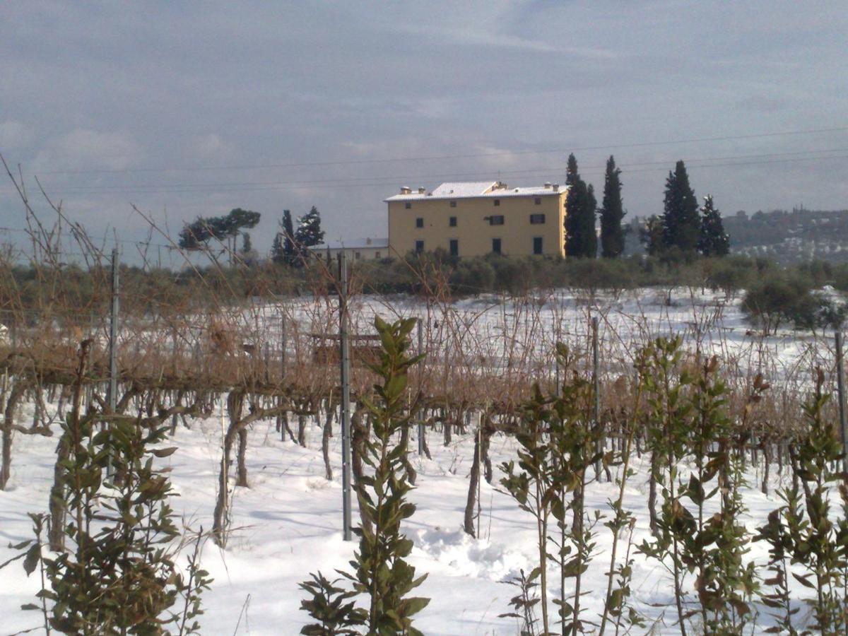 La Capannaccia Guest House Scandicci Exterior photo